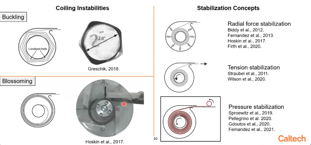Blossoming Mitigation Strategies
